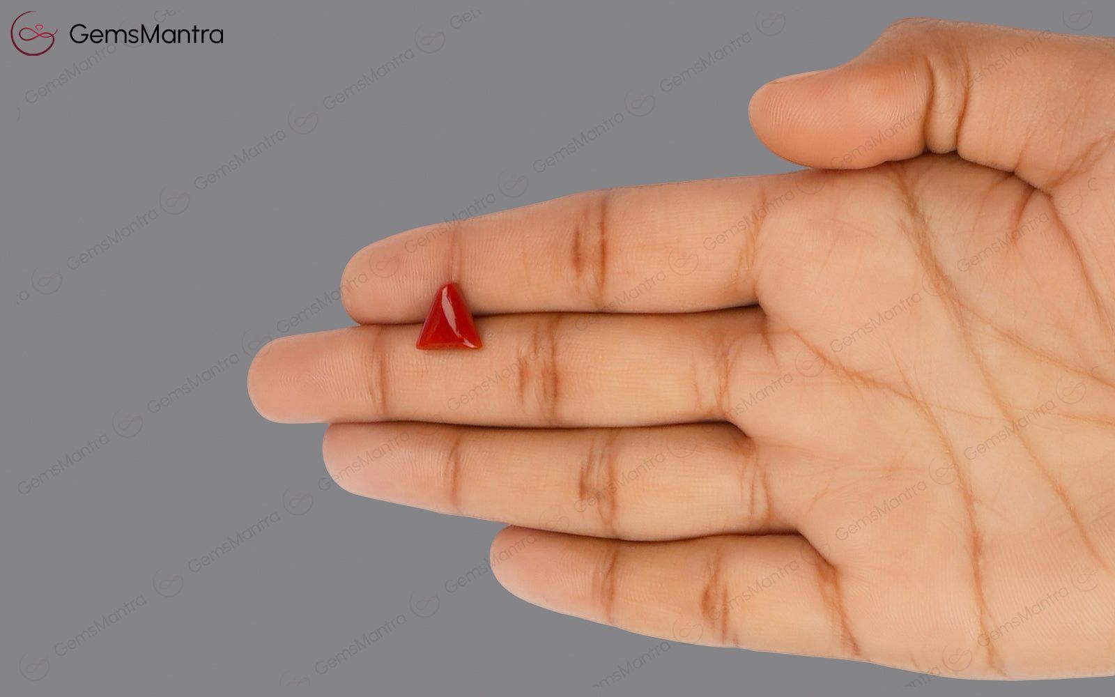 Red Coral - 2.82 Carats