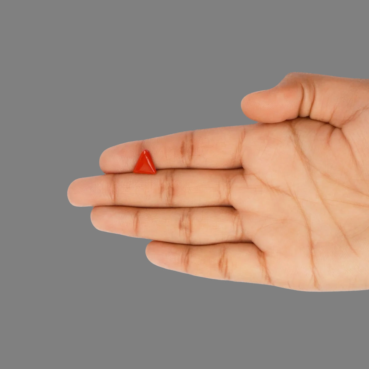 Red Coral - 2.75 Carats