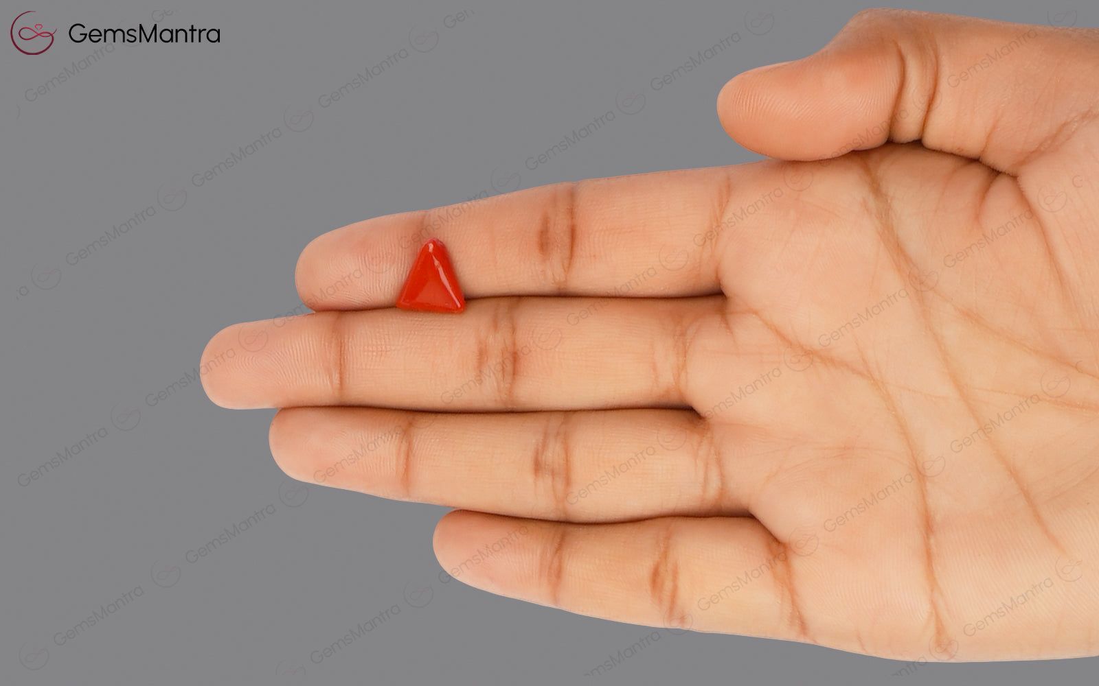 Red Coral - 2.75 Carats