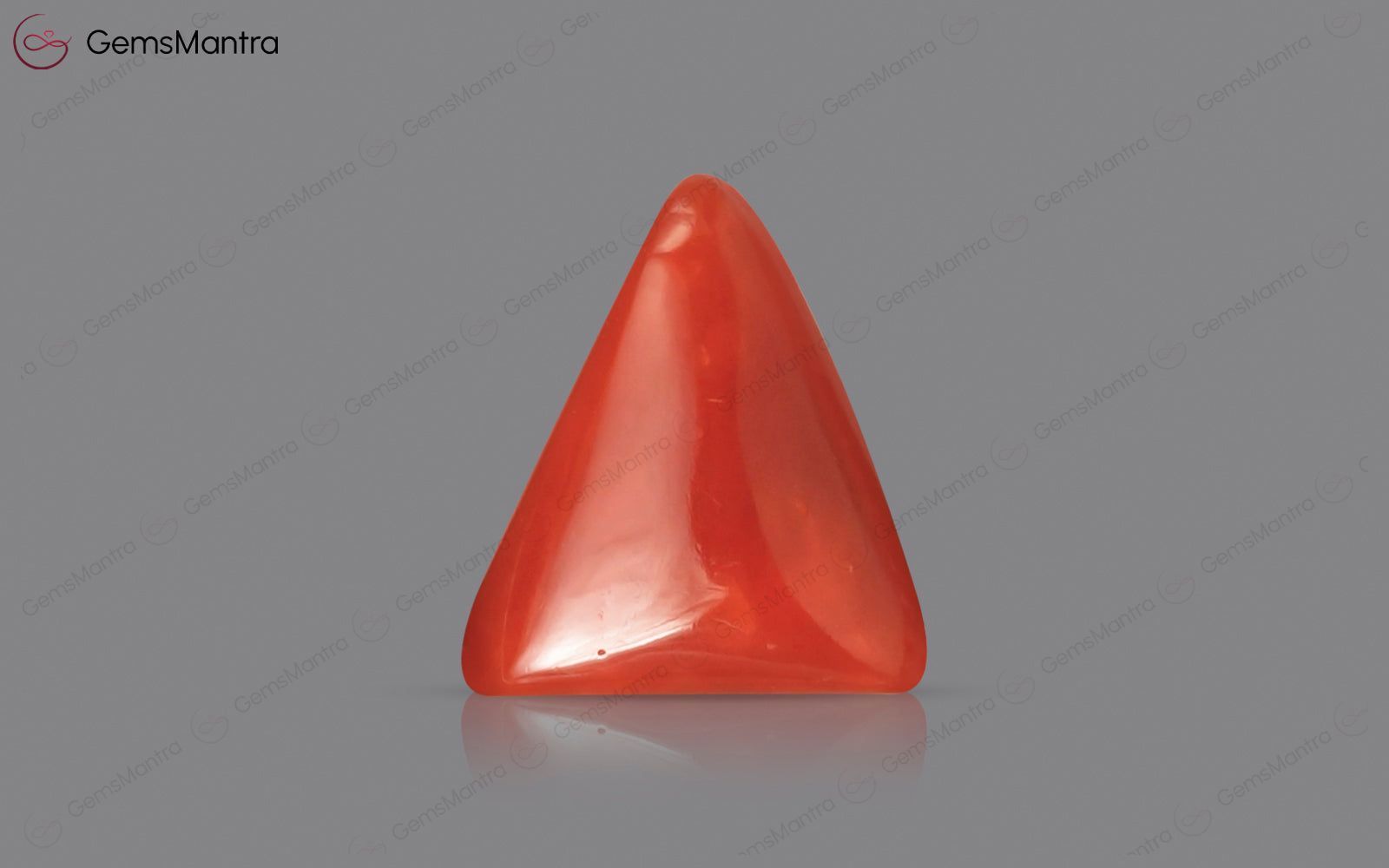 Red Coral - 2.89 Carats