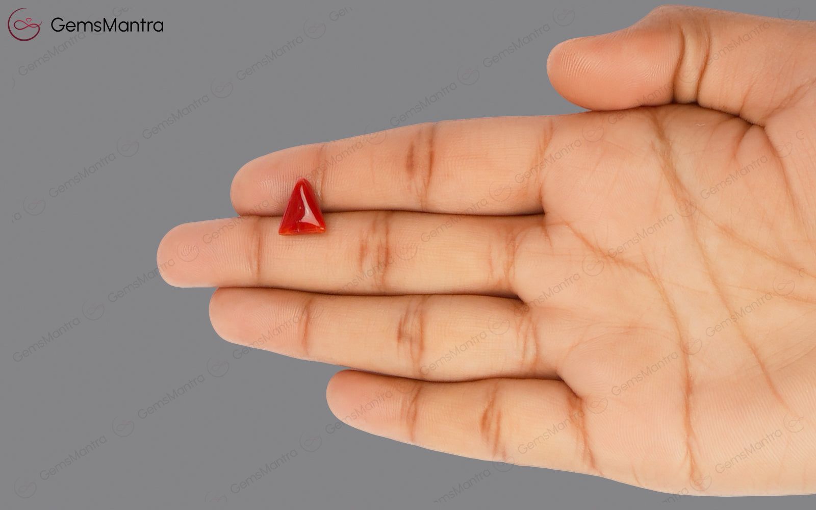 Red Coral - 2.89 Carats