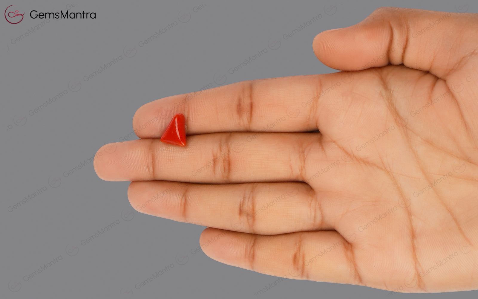Red Coral - 2.94 Carats