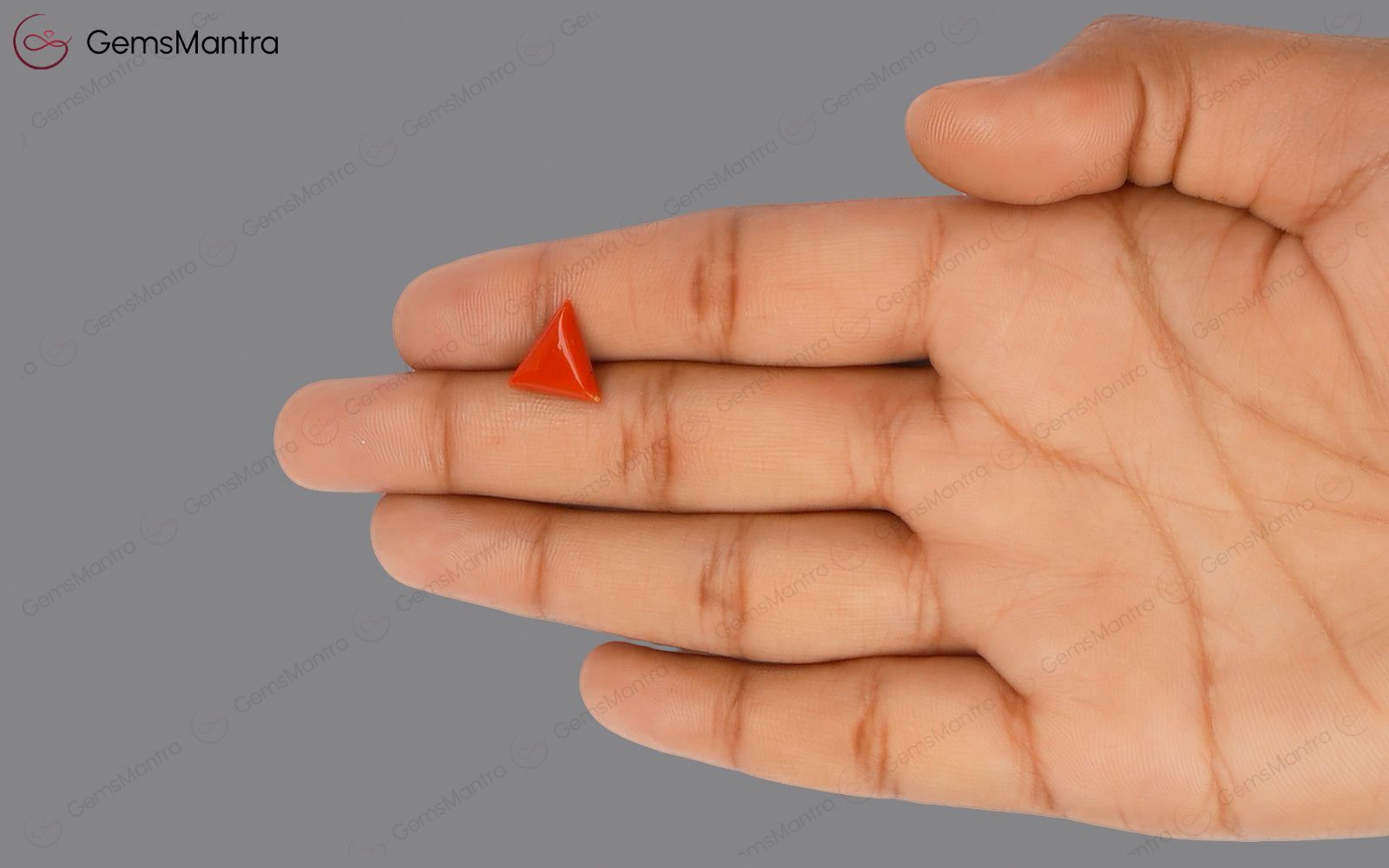 Red Coral - 2.87 Carats