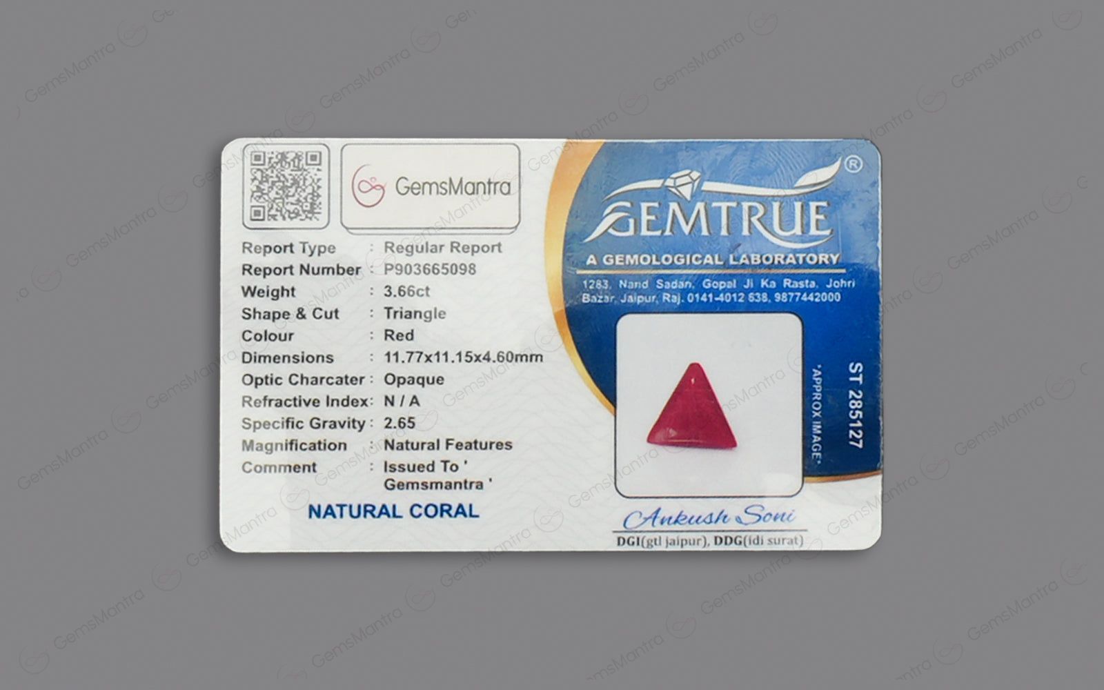 Red Coral - 3.66 Carats