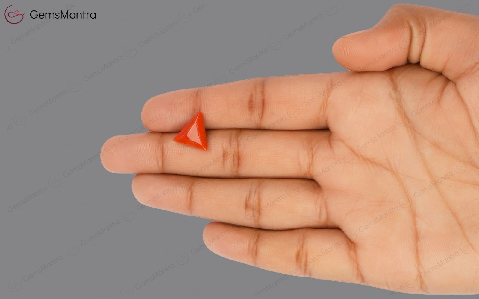 Red Coral - 3.66 Carats