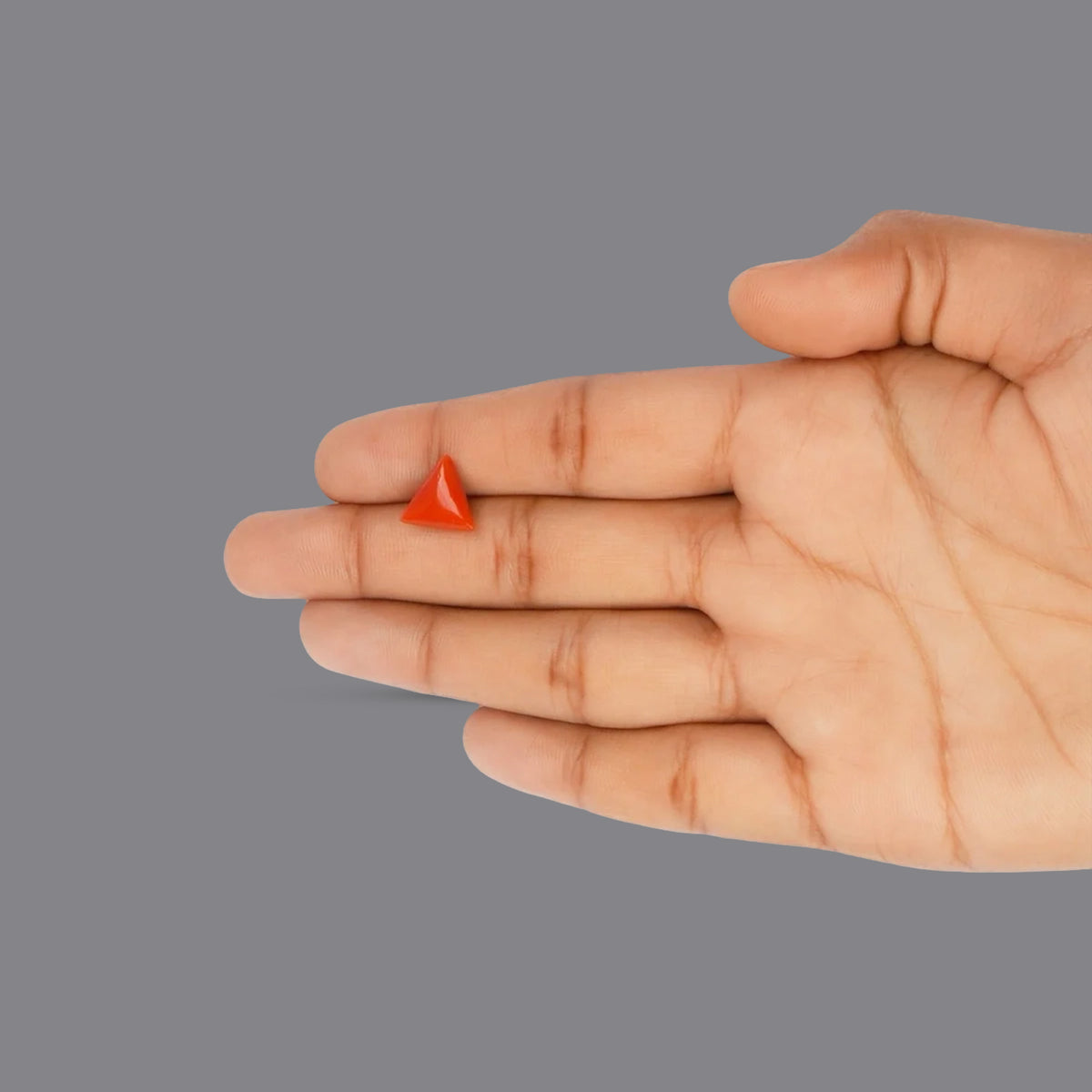 Red Coral - 3.58 Carats