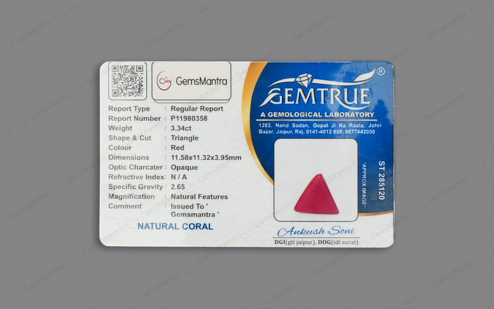 Red Coral - 3.34 Carats