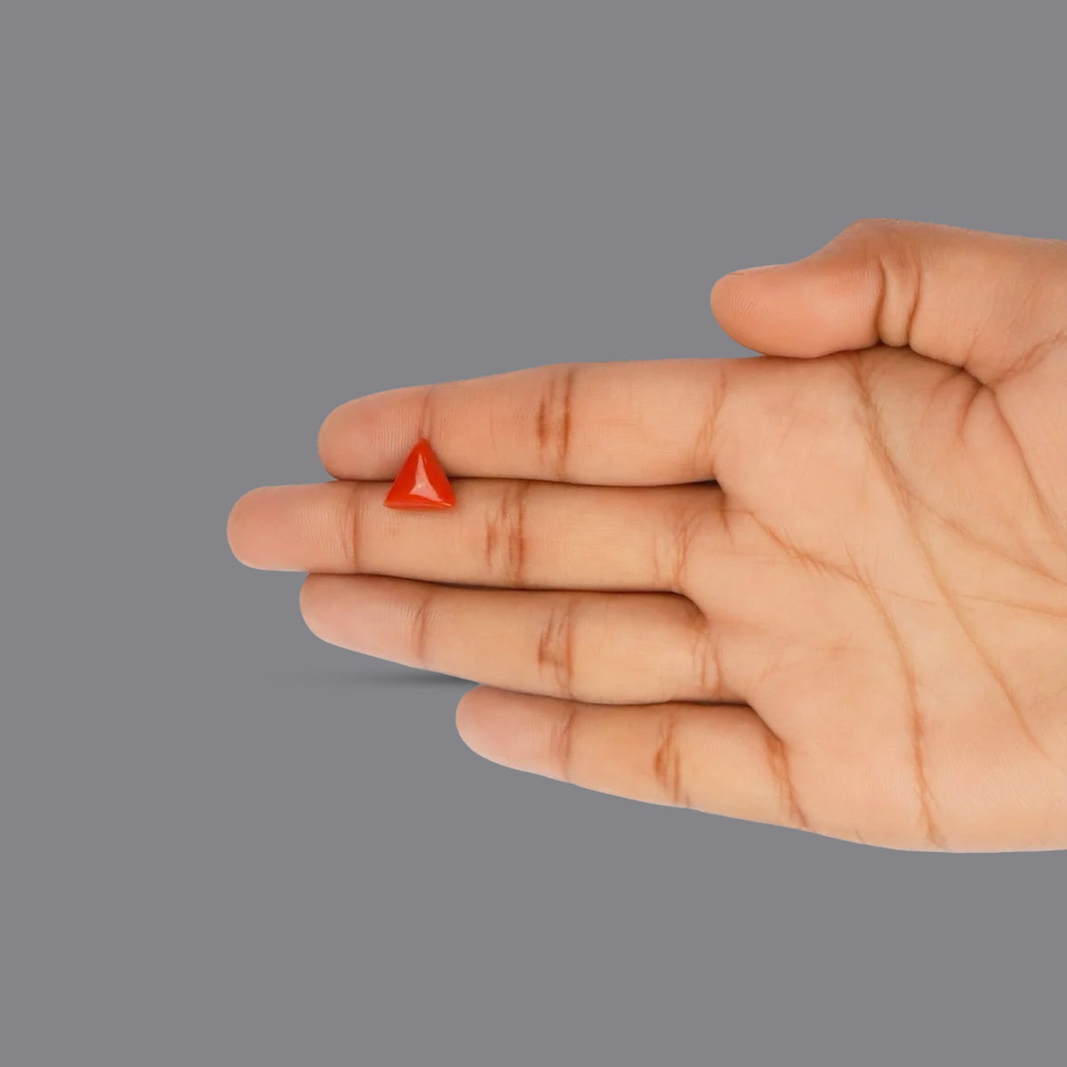Red Coral - 3.45 Carats