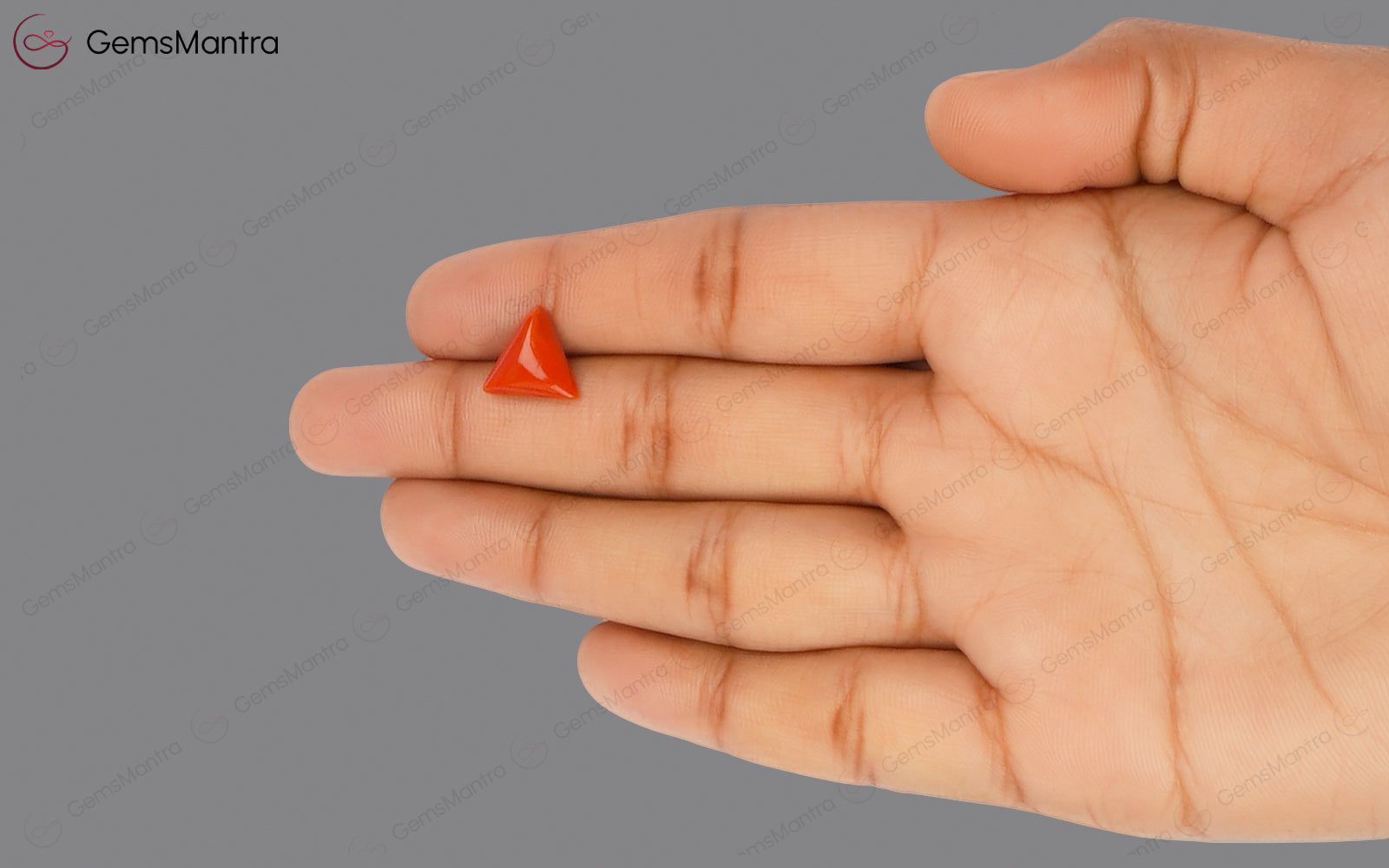 Red Coral - 3.21 Carats