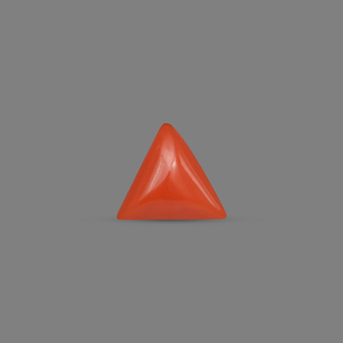 Red Coral - 3.63 Carats