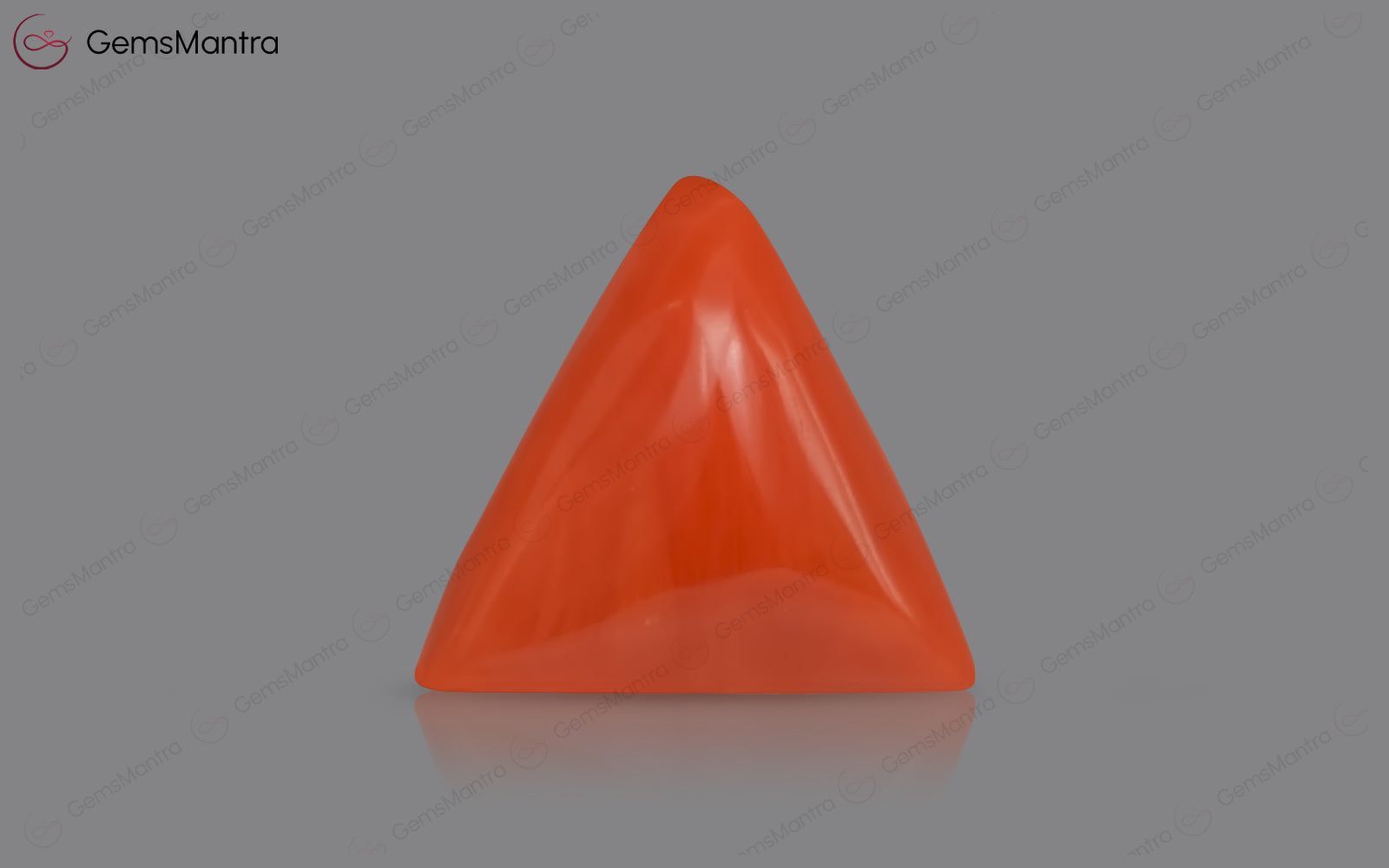 Red Coral - 3.18 Carats