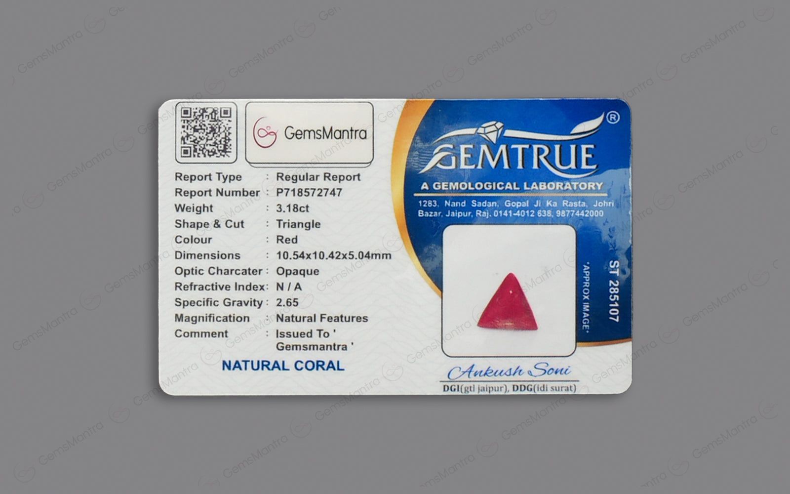 Red Coral - 3.18 Carats