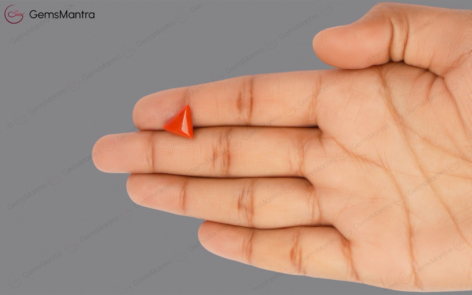 Red Coral - 3.18 Carats