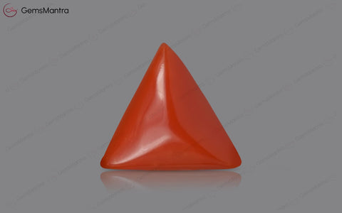 Red Coral - 3.58 Carats