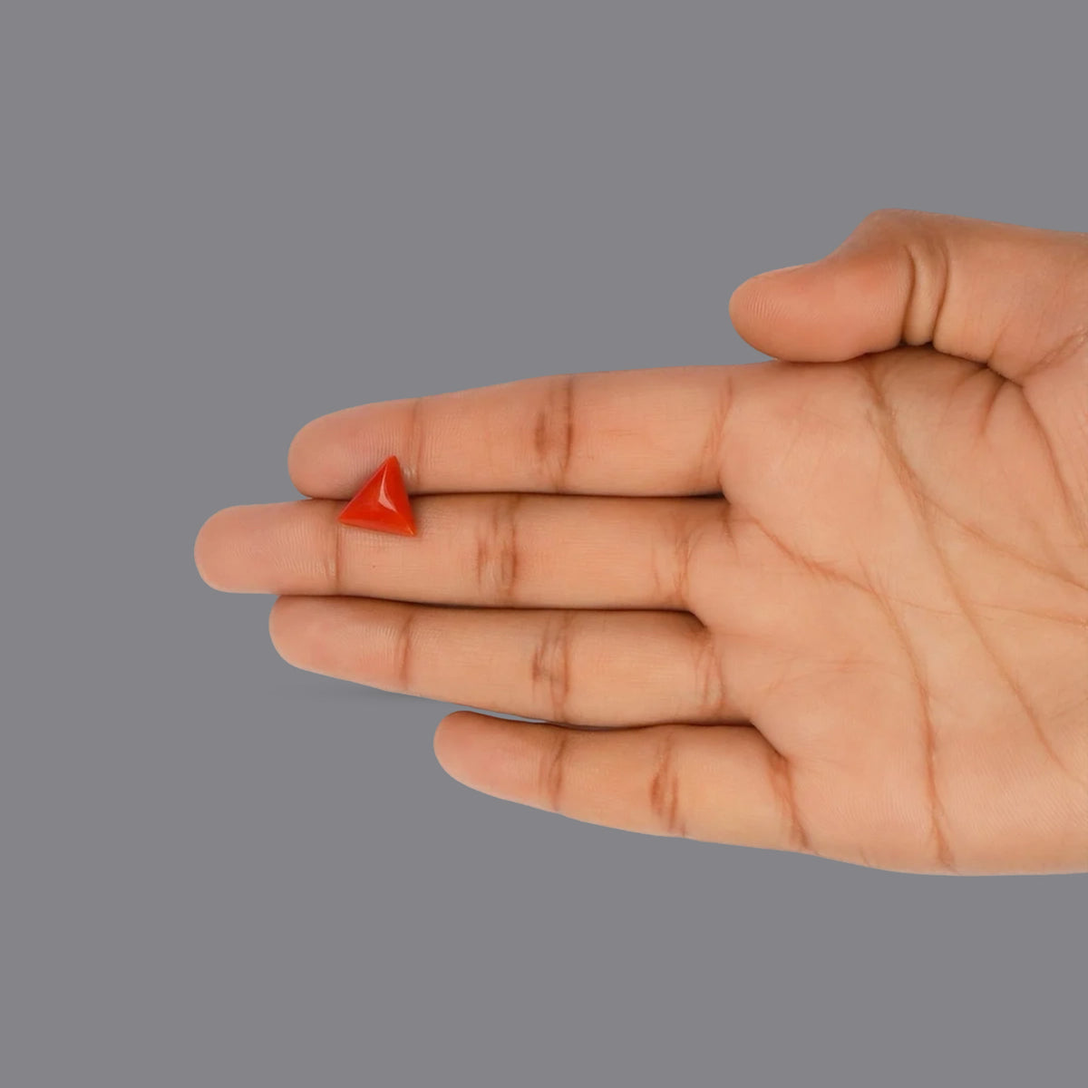 Red Coral - 3.58 Carats