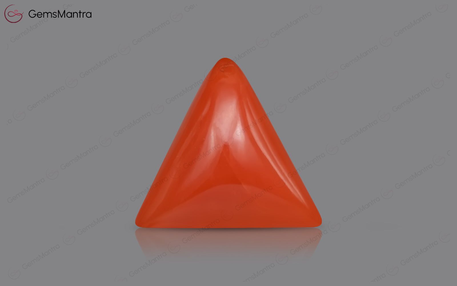 Red Coral - 3.92 Carats