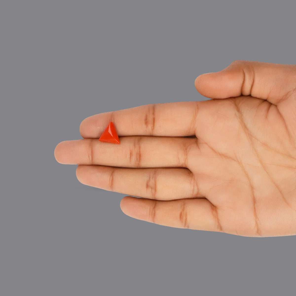 Red Coral - 3.92 Carats