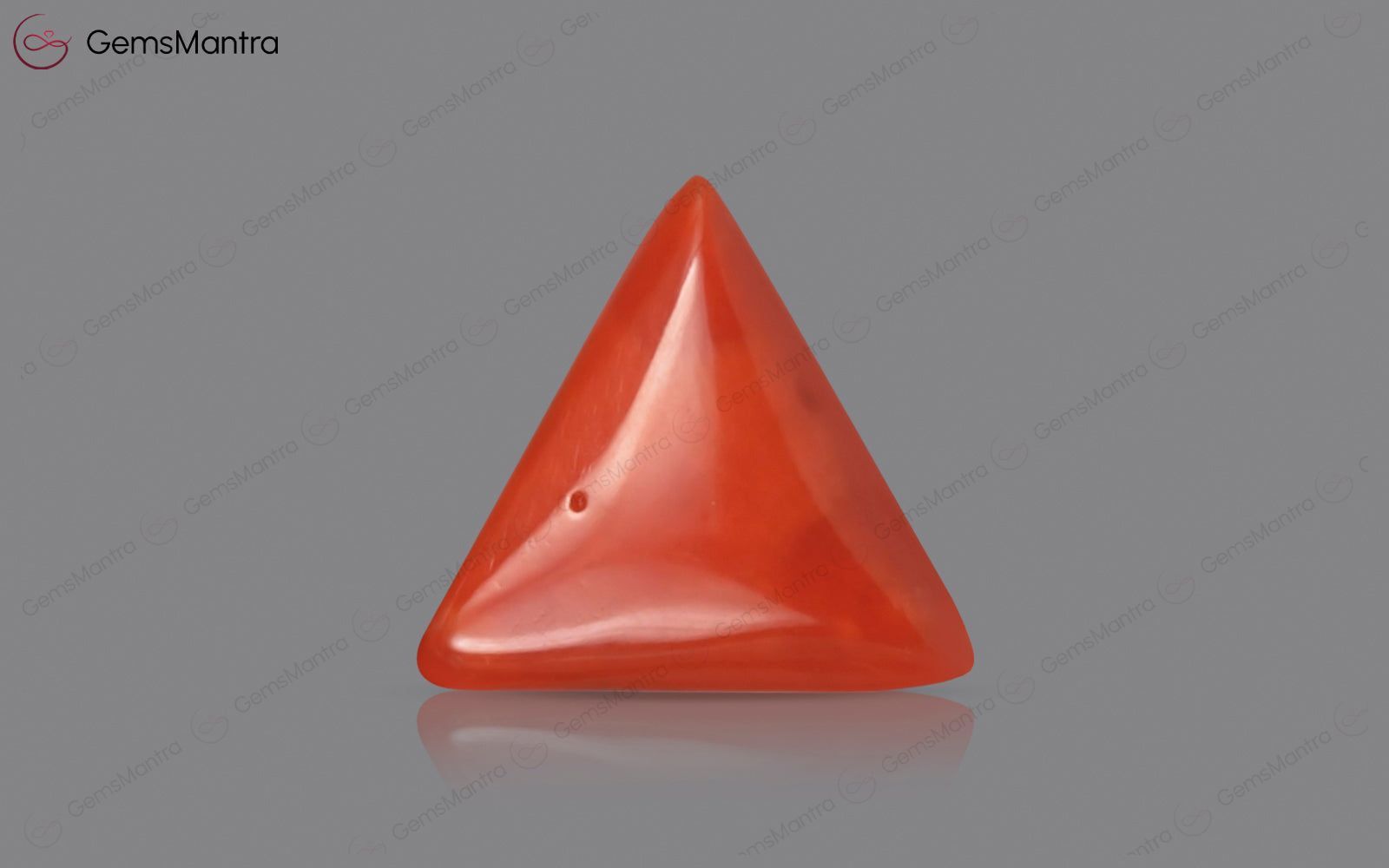 Red Coral - 3.22 Carats