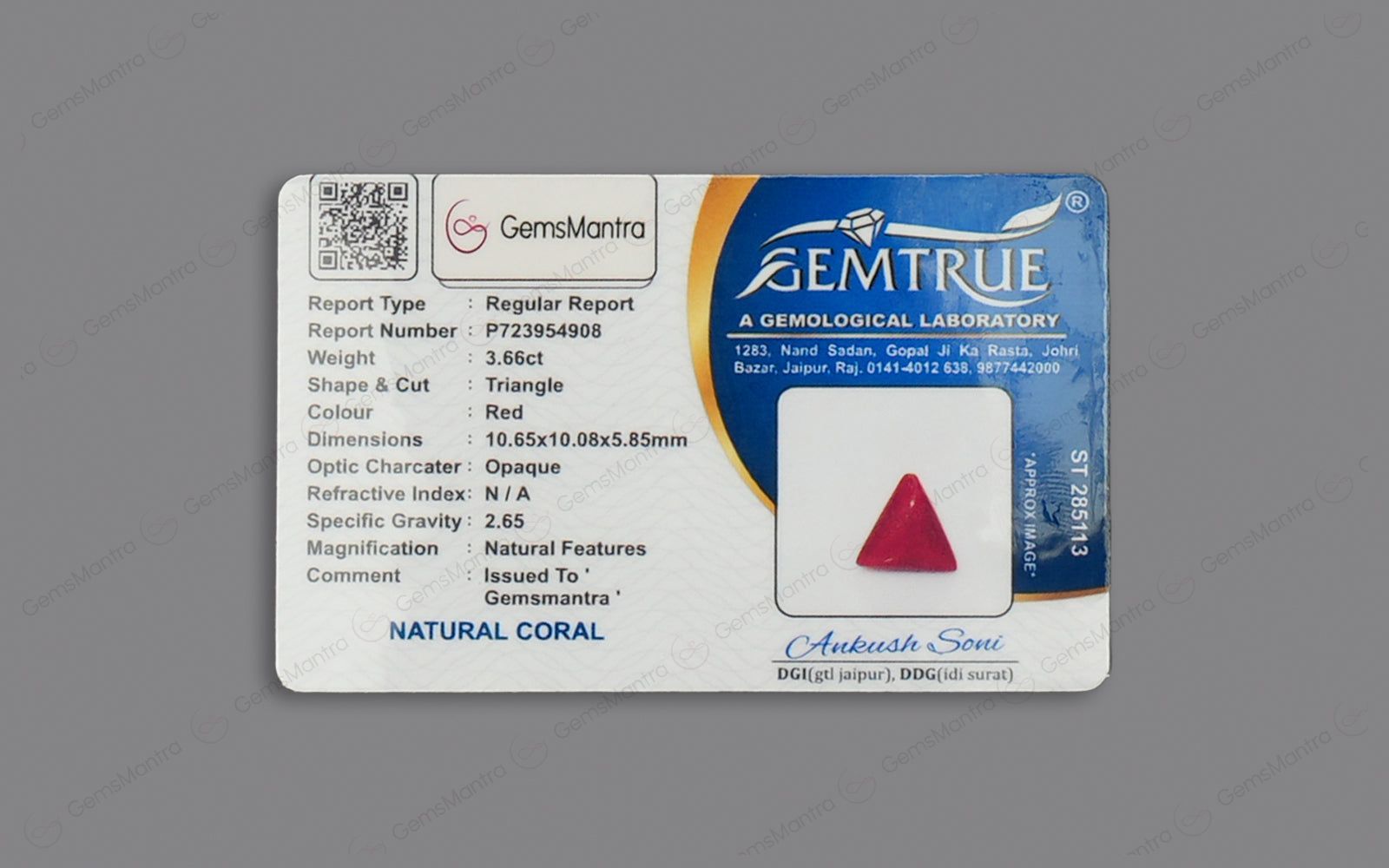 Red Coral - 3.66 Carats