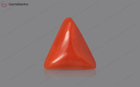 Red Coral - 3.66 Carats