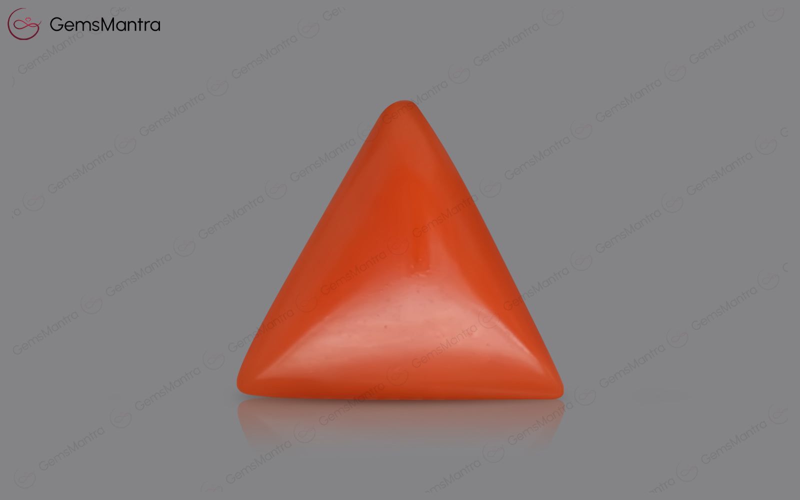 Red Coral - 3.72 Carats