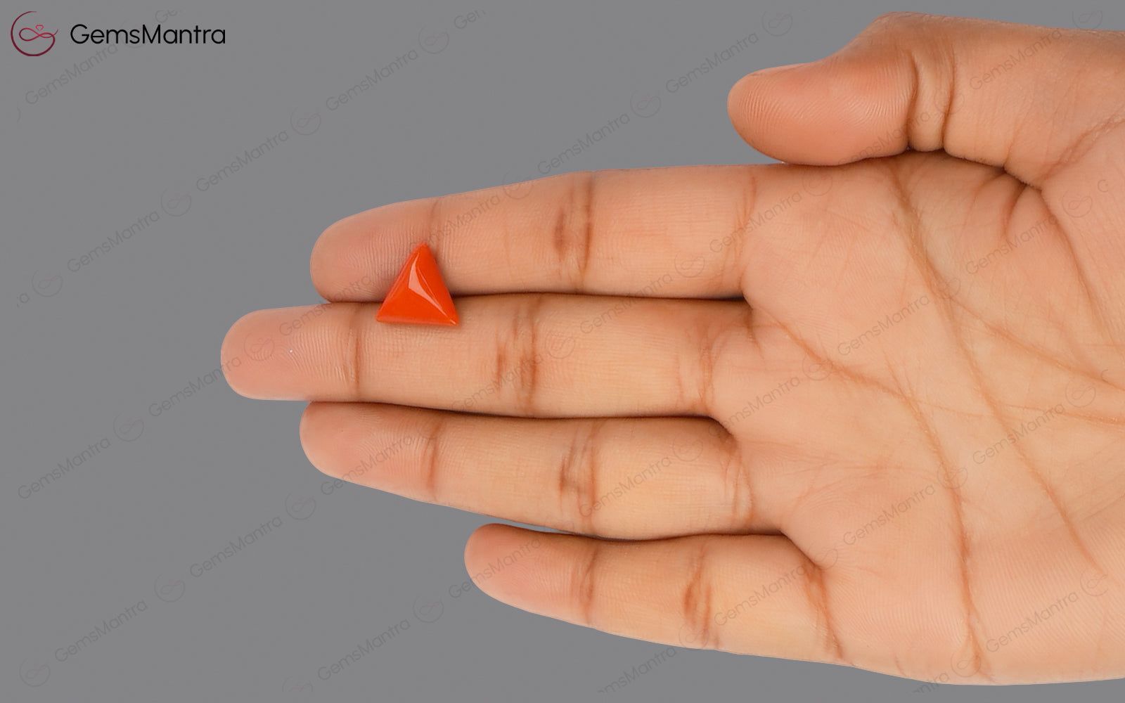 Red Coral - 3.72 Carats