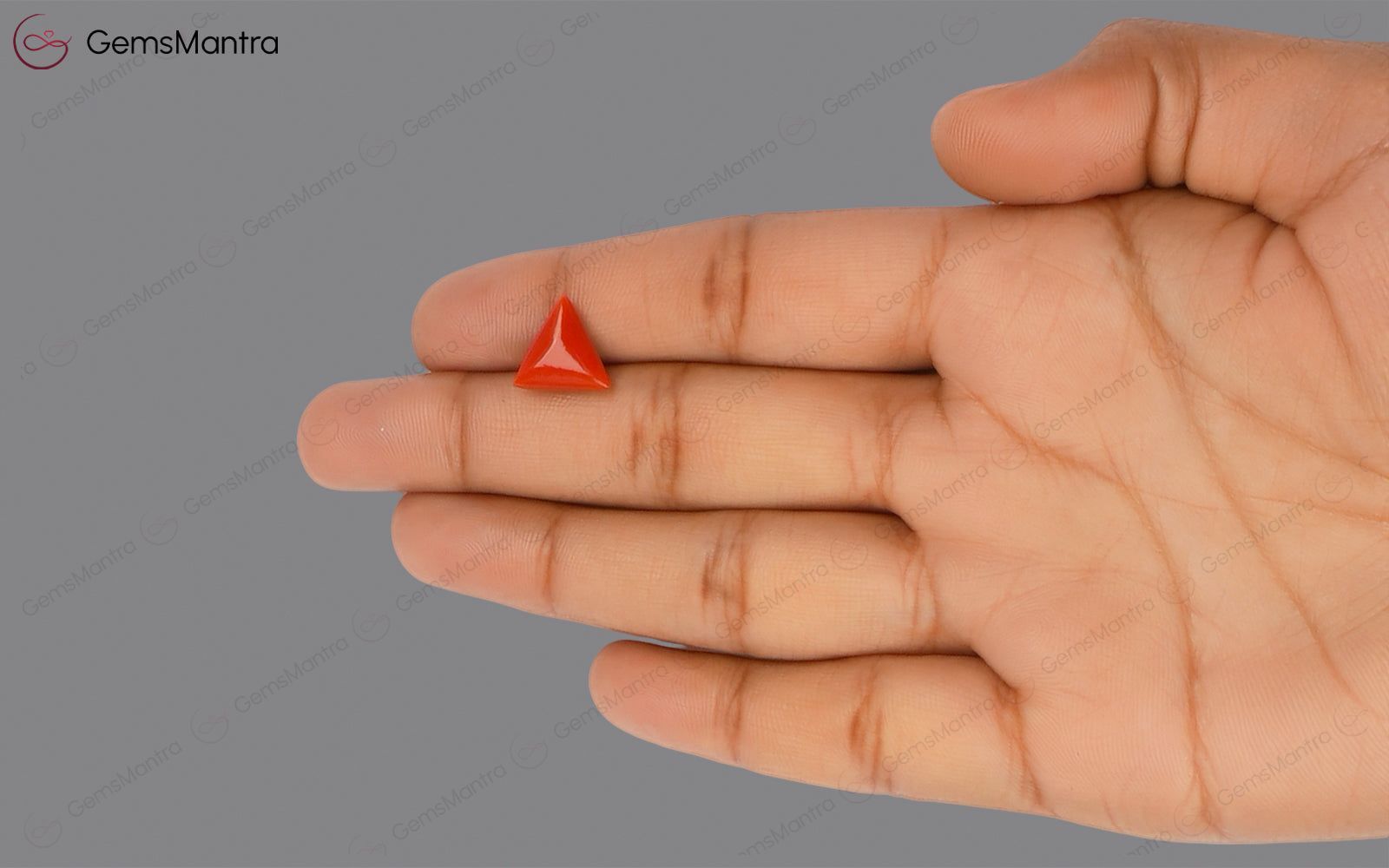 Red Coral - 3.46 Carats