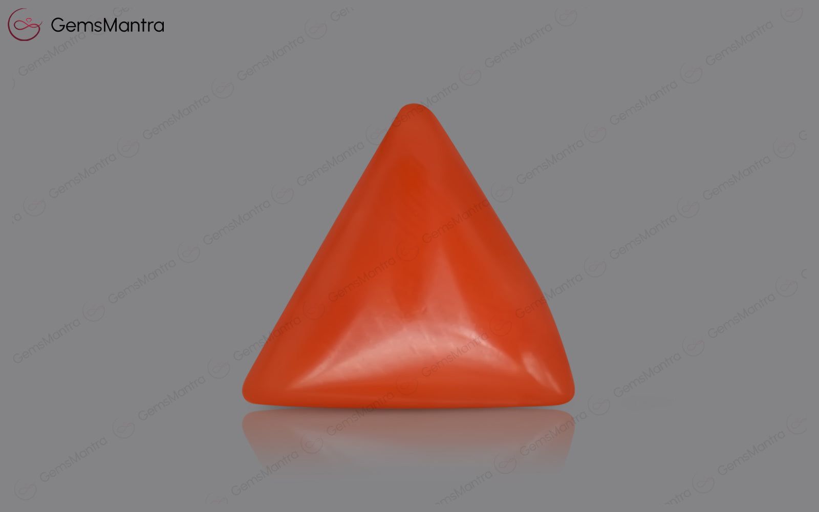 Red Coral - 3.52 Carats