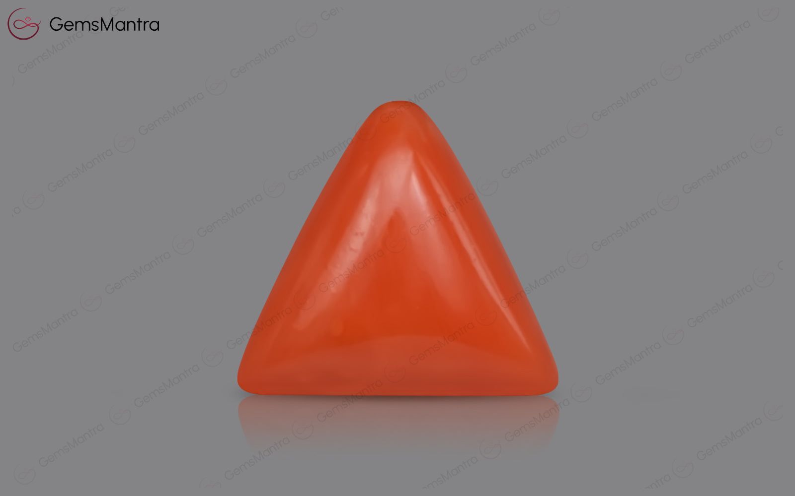 Red Coral - 4.06 Carats