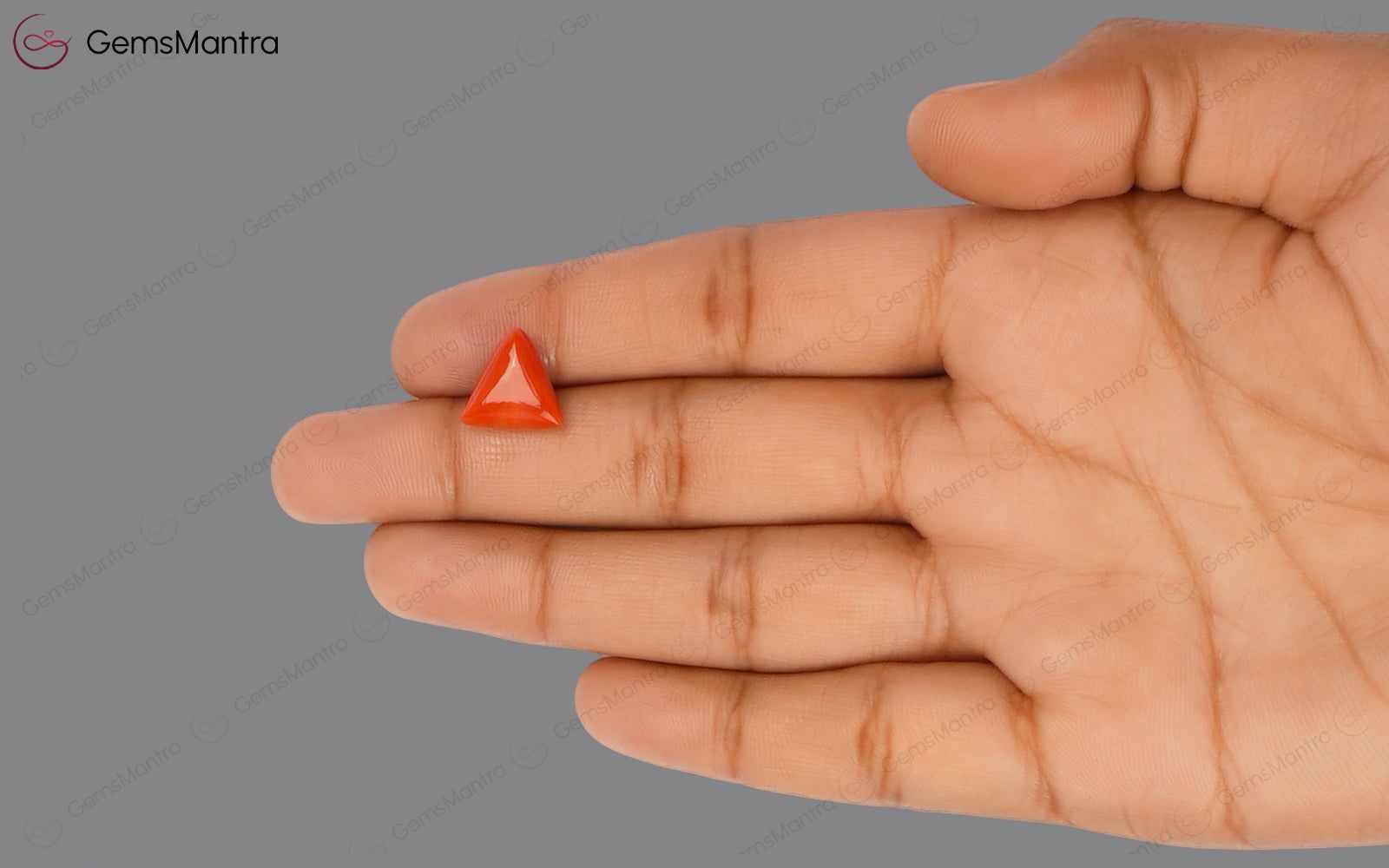 Red Coral - 4.06 Carats