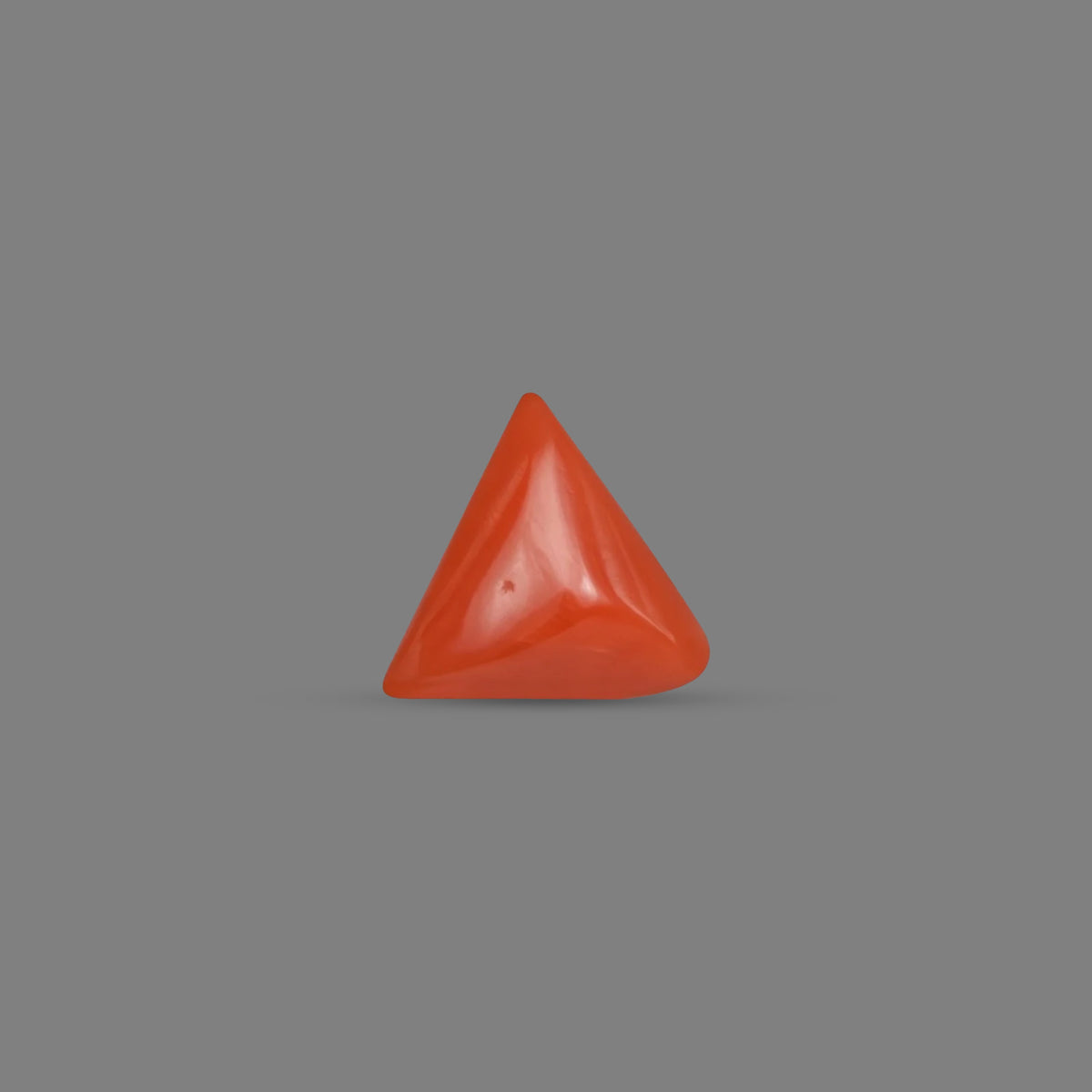 Red Coral - 4.04 Carats