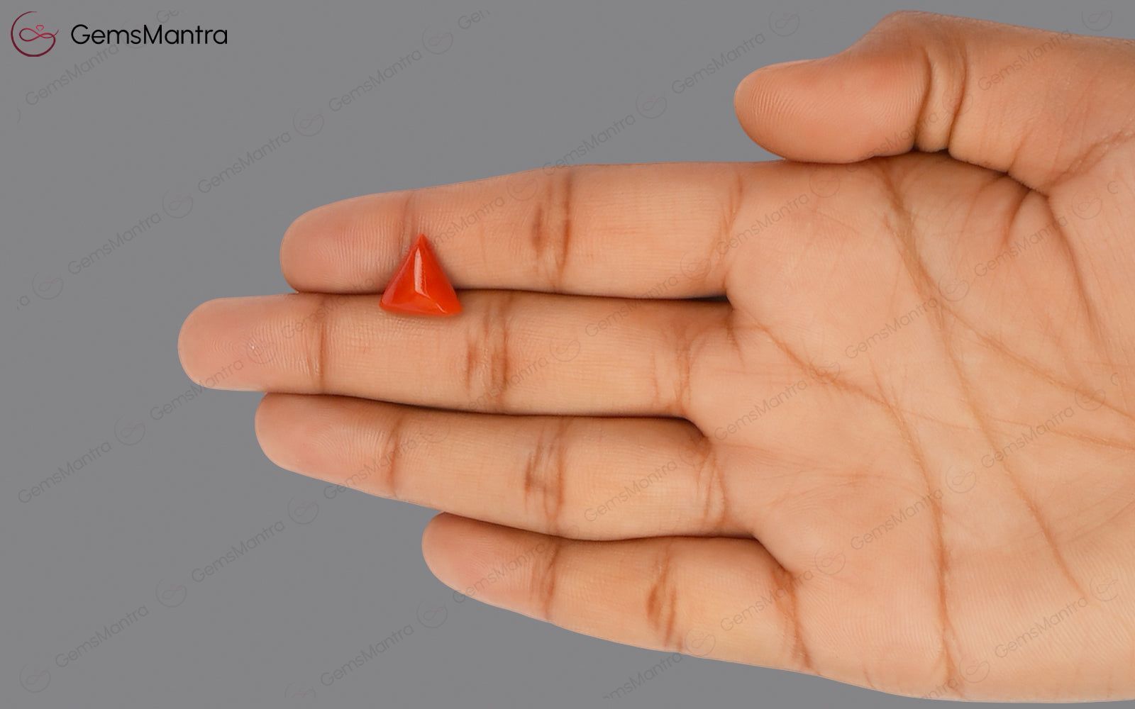 Red Coral - 4.04 Carats