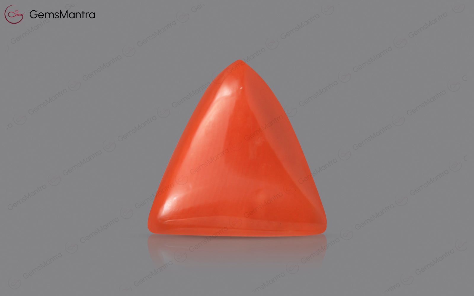 Red Coral - 4.06 Carats