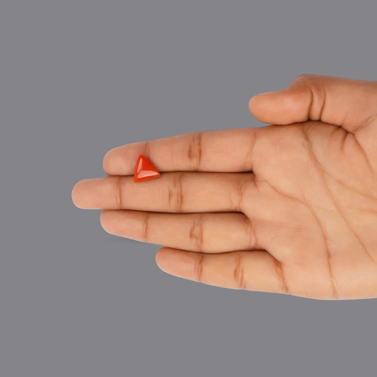 Red Coral - 4.06 Carats