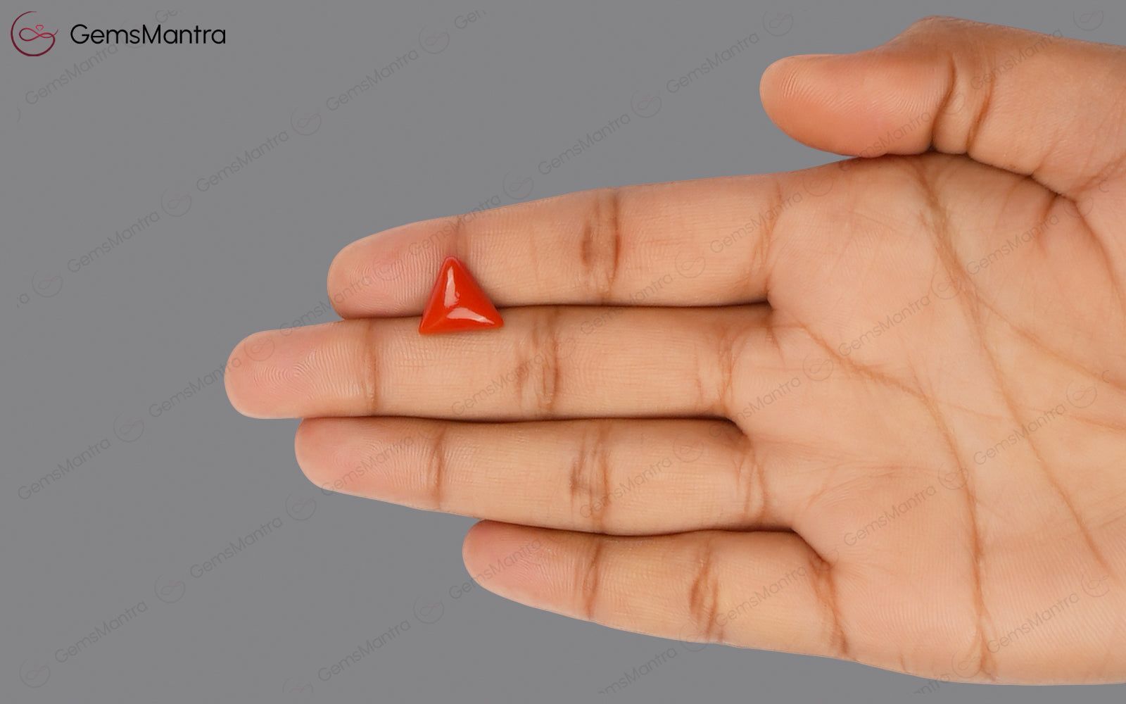 Red Coral - 4.15 Carats