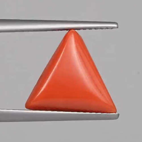 Red Coral - 4.72 Carats – original product close-up 1