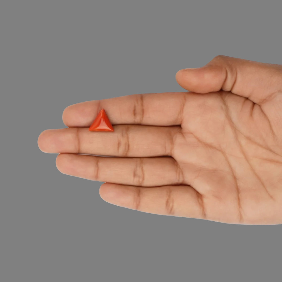 Red Coral - 4.7 Carats
