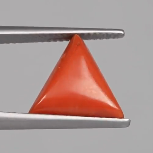 Red Coral - 5.03 Carats – original product close-up 2