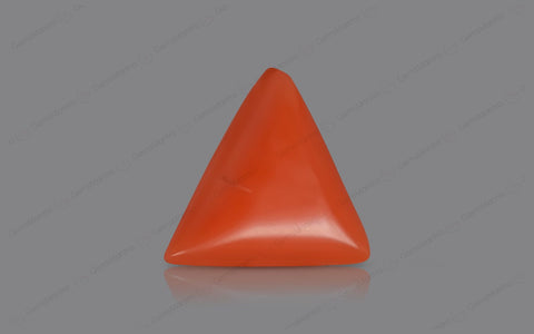 Red Coral - 5.57 Carats
