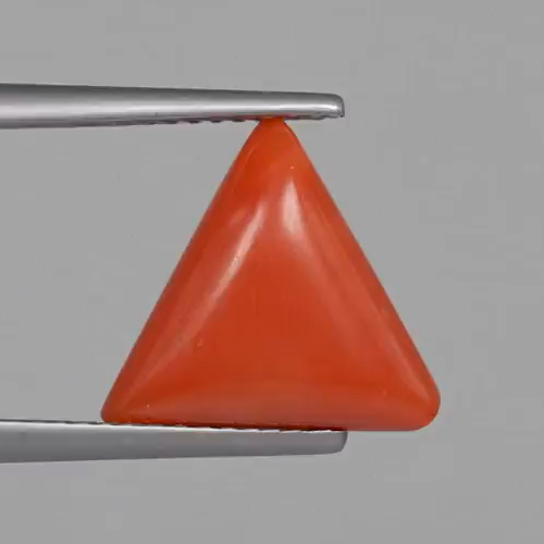 Red Coral - 4.65 Carats – original product close-up 2