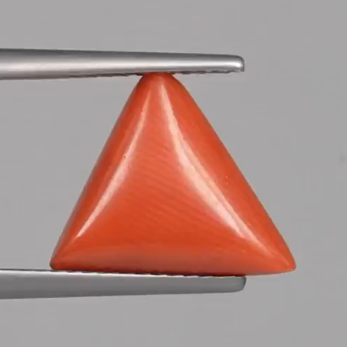 Red Coral - 4.92 Carats – original product close-up 1