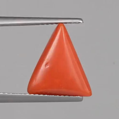 Red Coral - 4.38 Carats – original product close-up 1