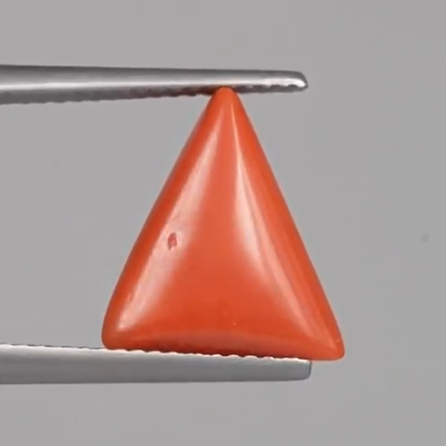 Red Coral - 4.38 Carats – original product close-up 2