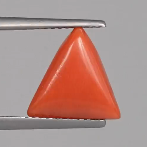 Red Coral - 4.54 Carats – original product close-up 1