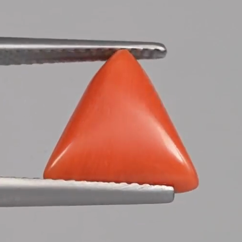 Red Coral - 4.54 Carats – original product close-up 2