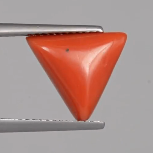 Red Coral - 4.7 Carats – original product close-up 3