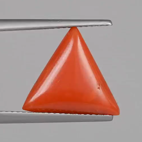 Red Coral - 5.08 Carats