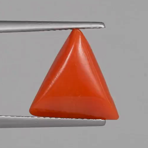Red Coral - 5.12 Carats – original product close-up 1