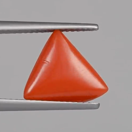 Red Coral - 5.05 Carats – original product close-up 2