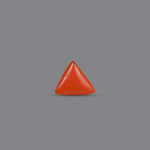 Red Coral - 5.05 Carats